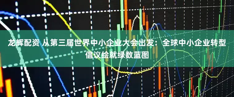 龙辉配资 从第三届世界中小企业大会出发：全球中小企业转型倡议绘就绿数蓝图